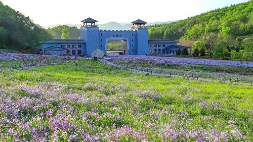 喜報！鳳城市大梨樹村再獲四項“國字號”榮譽