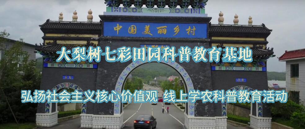 大梨樹七彩田園科普教育基地︱弘揚社會主義核心價值觀開展線上學農(nóng)科普教育活動
